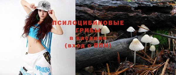стафф Алексин