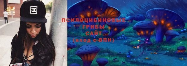 стафф Алексин