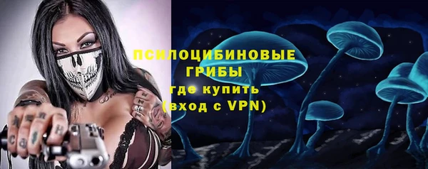 стафф Алексин