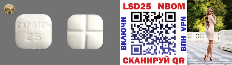 darknet Telegram  omg рабочий сайт  Бирск  Лсд 25 экстази кислота 